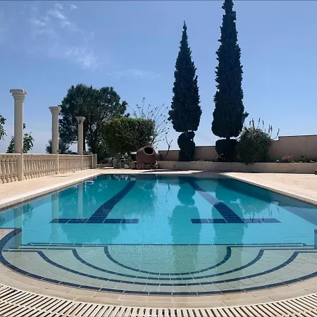 Breath-taking Studio On Hill Top With Pool *
